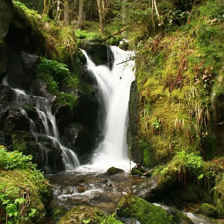 Hotel Restaurant La Cigogne Munster (Haut-Rhin)