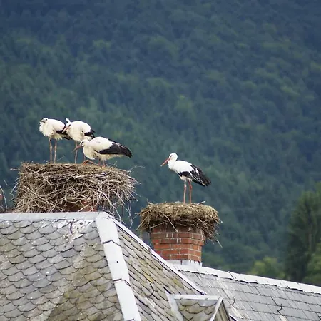 Restaurant La Cigogne 3*